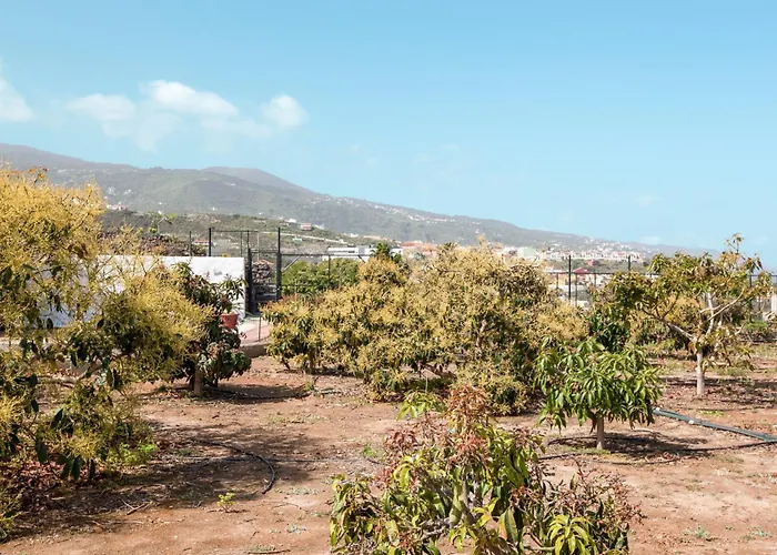 펜션 Casa Quemahierro 1 이코드레로스비노스